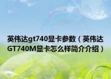 英伟达gt740显卡参数（英伟达GT740M显卡怎么样简介介绍）