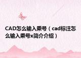 CAD怎么输入乘号（cad标注怎么输入乘号x简介介绍）