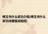 傅玉书什么武功介绍(傅玉书什么武功详细情况如何)