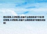 她似蜜桃.火烫蜜桃.这是什么歌的歌词?介绍(她似蜜桃.火烫蜜桃.这是什么歌的歌词?详细情况如何)