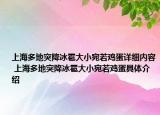 上海多地突降冰雹大小宛若鸡蛋详细内容 上海多地突降冰雹大小宛若鸡蛋具体介绍