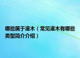 哪些属于灌木（常见灌木有哪些类型简介介绍）