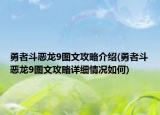 勇者斗恶龙9图文攻略介绍(勇者斗恶龙9图文攻略详细情况如何)