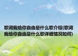 歌词我给你自由是什么歌介绍(歌词我给你自由是什么歌详细情况如何)