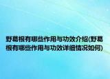 野葛根有哪些作用与功效介绍(野葛根有哪些作用与功效详细情况如何)