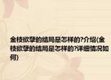 金枝欲孽的结局是怎样的?介绍(金枝欲孽的结局是怎样的?详细情况如何)
