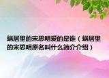 蜗居里的宋思明爱的是谁（蜗居里的宋思明原名叫什么简介介绍）