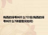 梅西的绰号叫什么?介绍(梅西的绰号叫什么?详细情况如何)