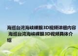 海巡台湾海峡裸眼3D视频详细内容 海巡台湾海峡裸眼3D视频具体介绍
