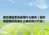 固态硬盘系统盘用什么格式（固态硬盘格式化选什么格式简介介绍）