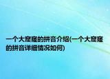 一个大窟窿的拼音介绍(一个大窟窿的拼音详细情况如何)