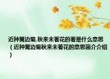 近种篱边菊,秋来未著花的著是什么意思（近种篱边菊秋来未著花的意思简介介绍）