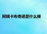 阿姨卡布奇诺是什么梗