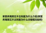 家里养海棠花不吉利是为什么介绍(家里养海棠花不吉利是为什么详细情况如何)