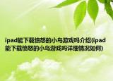 ipad能下载愤怒的小鸟游戏吗介绍(ipad能下载愤怒的小鸟游戏吗详细情况如何)