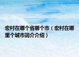 宏村在哪个省哪个市（宏村在哪里个城市简介介绍）