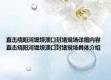 直击绕阳河堤坝溃口封堵现场详细内容 直击绕阳河堤坝溃口封堵现场具体介绍