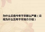 为什么云南今年干旱那么严重（云南为什么五年干旱简介介绍）