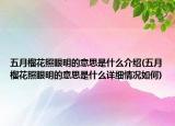 五月榴花照眼明的意思是什么介绍(五月榴花照眼明的意思是什么详细情况如何)