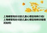 上海哪里有好点的儿童心理咨询师介绍(上海哪里有好点的儿童心理咨询师详细情况如何)