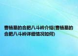 曹植墓的合肥八斗岭介绍(曹植墓的合肥八斗岭详细情况如何)