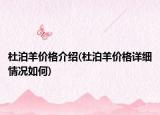 杜泊羊价格介绍(杜泊羊价格详细情况如何)