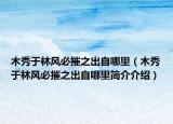 木秀于林风必摧之出自哪里（木秀于林风必摧之出自哪里简介介绍）