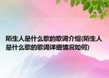 陌生人是什么歌的歌词介绍(陌生人是什么歌的歌词详细情况如何)