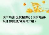 天下3玩什么职业好玩（天下3新手玩什么职业好点简介介绍）