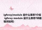 igfxray(module 是什么意思?介绍 igfxray module 是什么意思?详细情况如何)