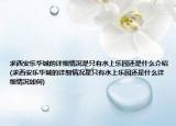 求西安乐华城的详细情况是只有水上乐园还是什么介绍(求西安乐华城的详细情况是只有水上乐园还是什么详细情况如何)