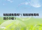 粘粘球有毒吗?（粘粘球有毒吗简介介绍）