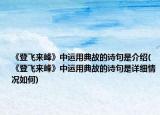 《登飞来峰》中运用典故的诗句是介绍(《登飞来峰》中运用典故的诗句是详细情况如何)