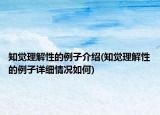 知觉理解性的例子介绍(知觉理解性的例子详细情况如何)