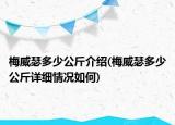 梅威瑟多少公斤介绍(梅威瑟多少公斤详细情况如何)