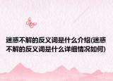 迷惑不解的反义词是什么介绍(迷惑不解的反义词是什么详细情况如何)