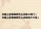 衣服上的苍蝇屎怎么去除小窍门（衣服上的苍蝇屎怎么去除简介介绍）