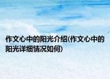 作文心中的阳光介绍(作文心中的阳光详细情况如何)