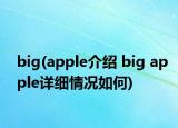 big(apple介绍 big apple详细情况如何)