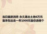 当日最新消息 永久退出土地6万元亩承包出去一年1000元亩你选哪个