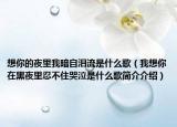 想你的夜里我暗自泪流是什么歌（我想你在黑夜里忍不住哭泣是什么歌简介介绍）
