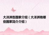 大洋洲各国家介绍（大洋洲有哪些国家简介介绍）