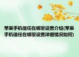 苹果手机信任在哪里设置介绍(苹果手机信任在哪里设置详细情况如何)
