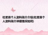 杜星霖个人资料简介介绍(杜星霖个人资料简介详细情况如何)