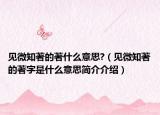 见微知著的著什么意思?（见微知著的著字是什么意思简介介绍）