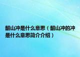 韶山冲是什么意思（韶山冲的冲是什么意思简介介绍）