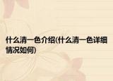 什么清一色介绍(什么清一色详细情况如何)