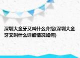 深圳大金牙又叫什么介绍(深圳大金牙又叫什么详细情况如何)