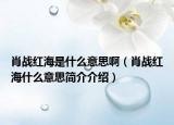 肖战红海是什么意思啊（肖战红海什么意思简介介绍）