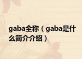 gaba全称（gaba是什么简介介绍）